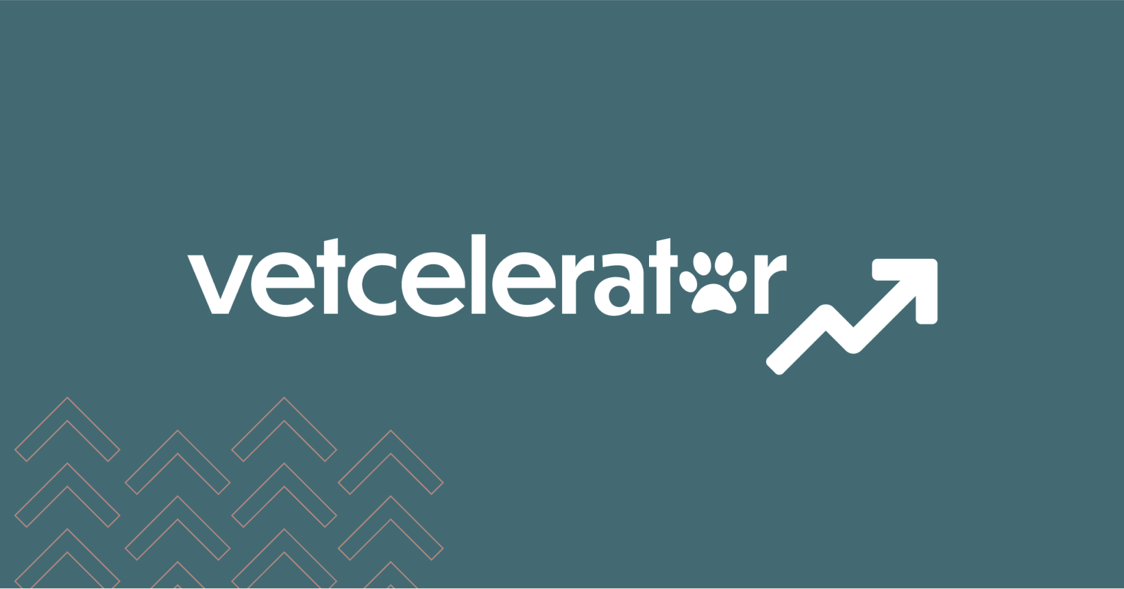 Vetcelerator Logo